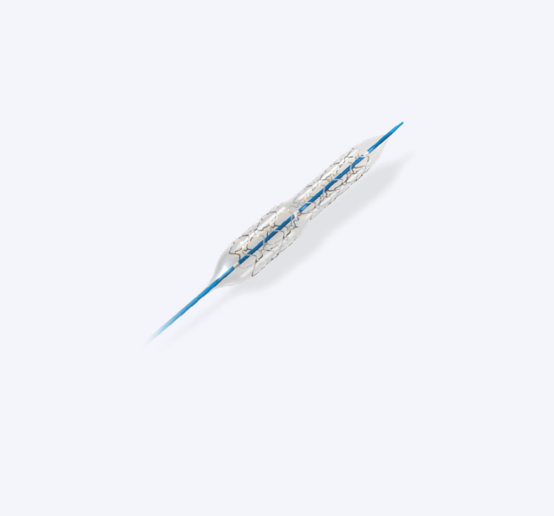 Bioss Lim C® – Coronary Sirolimus Eluting DES dedicated to the treatment of bifurcations