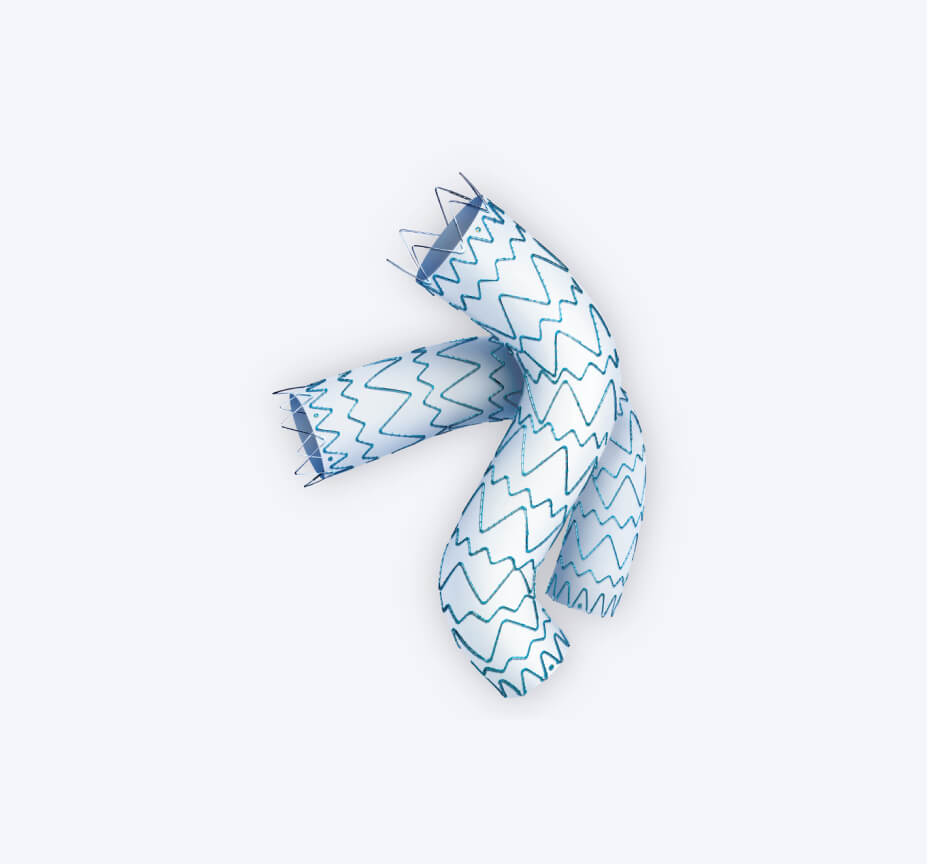 Percutek® TAA - Thoracic Endoprosthesis Stent-Graft