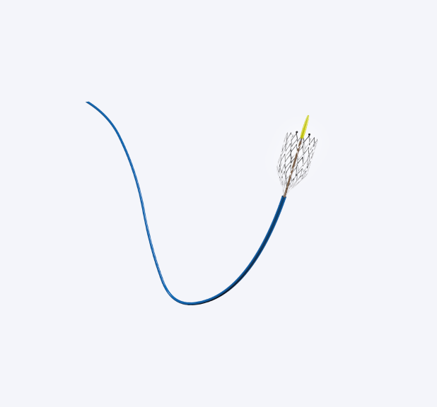 Mer® - Self-Expanding Nitinol Carotid Stent