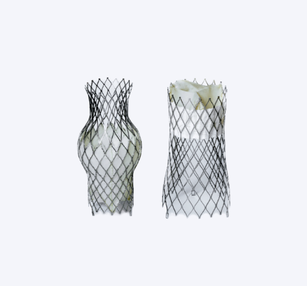 TricValve® - Transcatheter bicaval valves system
