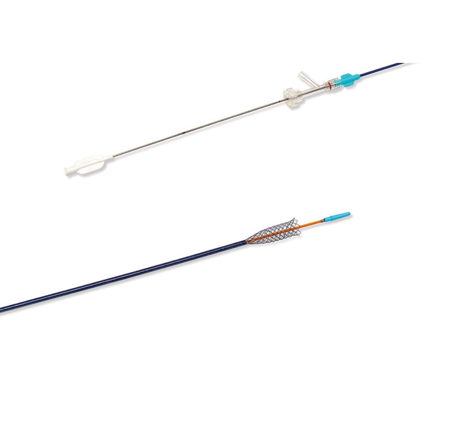 Jaguar® - Self-Expandibile One-Wire Type Nitinol SFA/Popliteal Stent